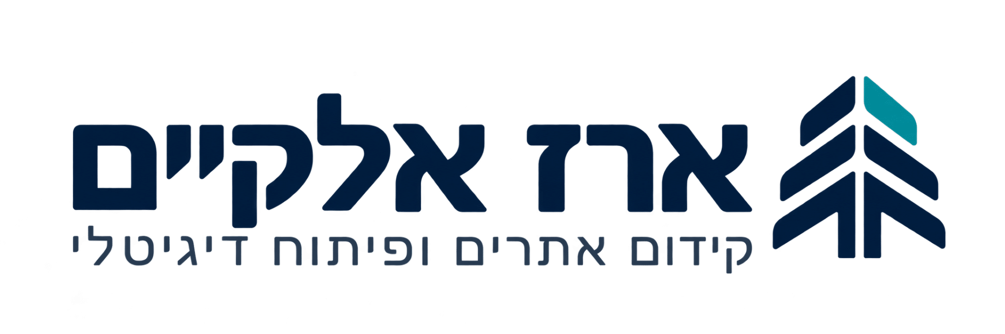 ארז אלקיים – קידום אתרים ופיתוח דיגיטלי